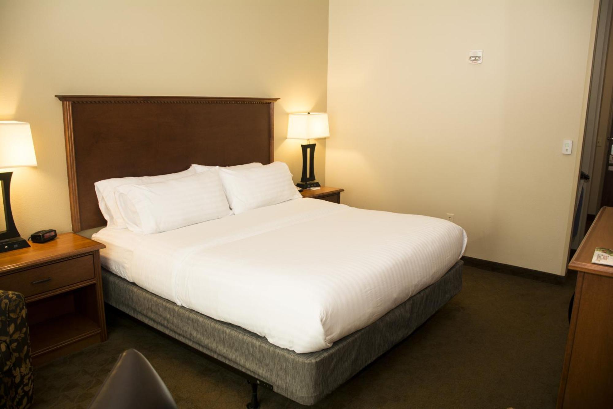 Standard King Room,1770899518:JPEG